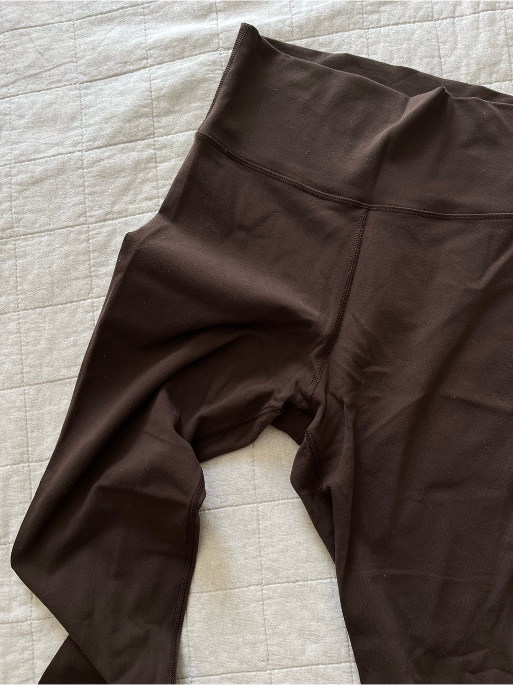 Aritzia TNAction Leggings (M)